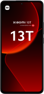 13T